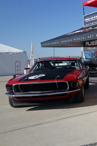 Мускул кары обои