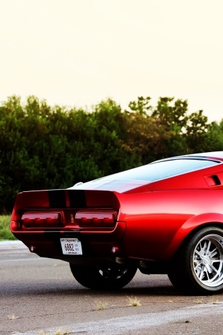 Shelby GT500 CR обои