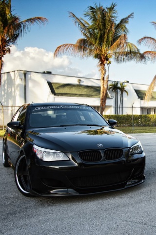 Две БМВ обои