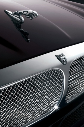 Капот и эмблема Ягуара обои