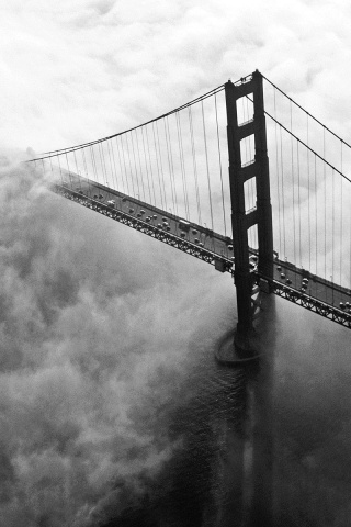 Мост Золотые ворота утопает в тумане обои