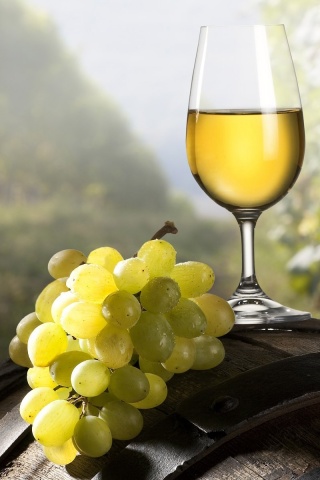 Винная бочка и бокал с белым вином обои