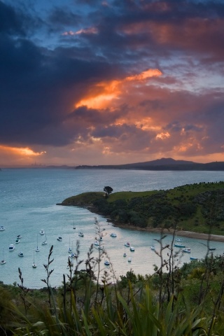 Waiheke Island, New Zealand обои