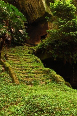 Старинный лесной храм обои