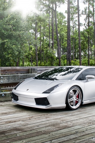 Ламбоджини на мосту в лесу обои