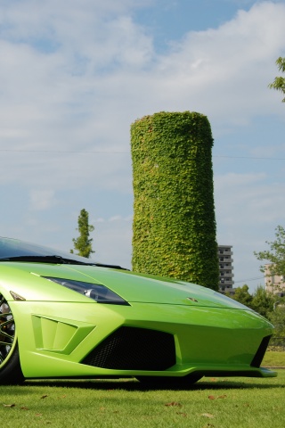 Зелёный Ламборджини на траве обои