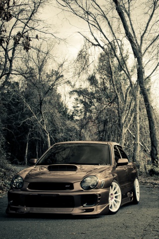 Субару Импреза на лесной дороге обои