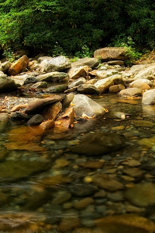 Гораня река обои