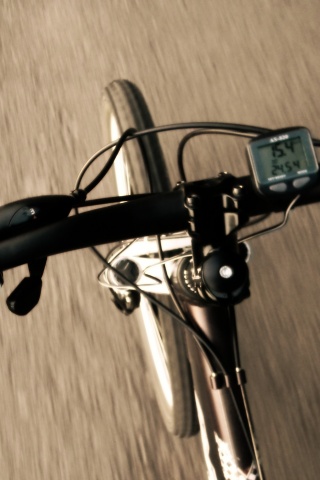 Катание на велосипеде обои