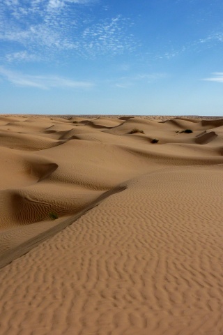 Пустыня до самого горизонта обои