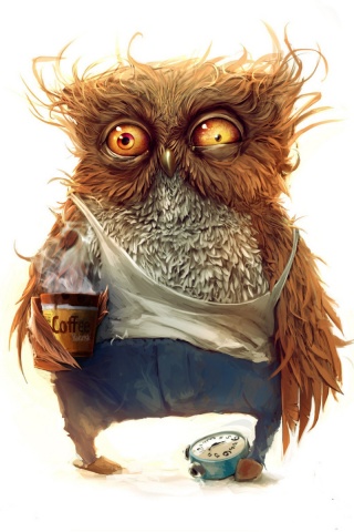 Не спящая сова обои