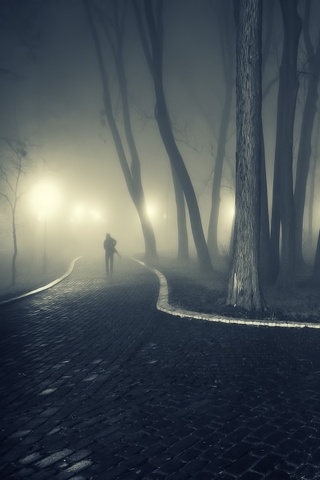 Пустынный лабиринт парковых дорожек обои