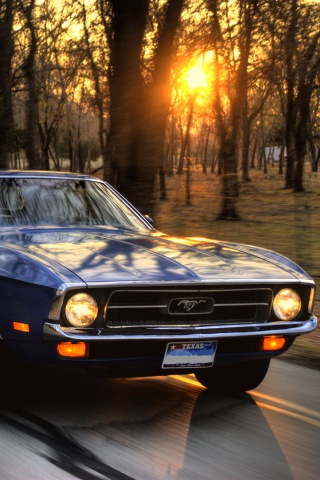 Мустанг обои