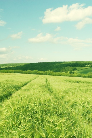 Бескрайние просторы обои