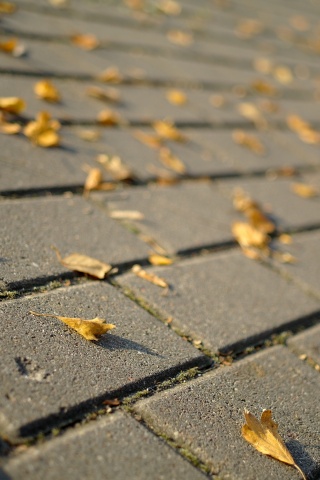 Тротуар обои