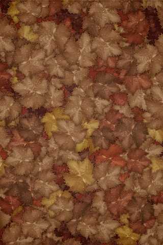 Осенние листья обои