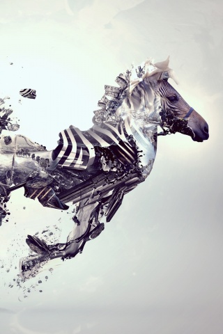 Зебра и бонсай обои