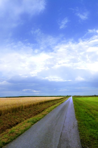 Сельский пейзаж обои