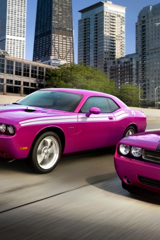 Два розовых мускулкара обои