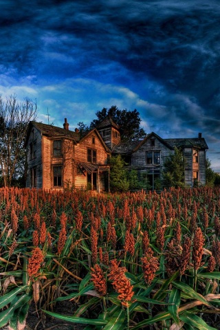 Заброшенный дом  обои