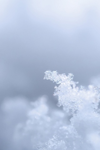 Макро фото снега обои