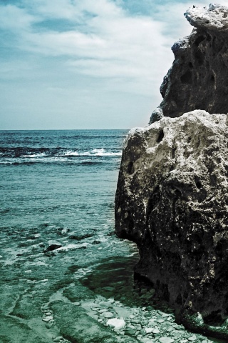 Коралловый риф обои