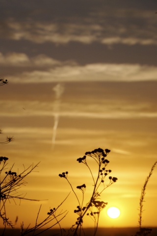 Степной закат обои