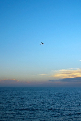 Паращий над морем обои