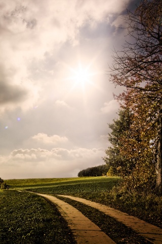 Солнечные холмы обои