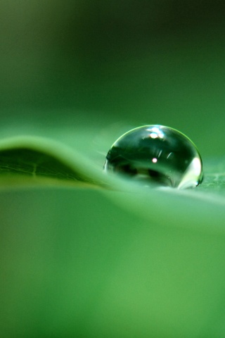 Фотография капли воды в макро обои