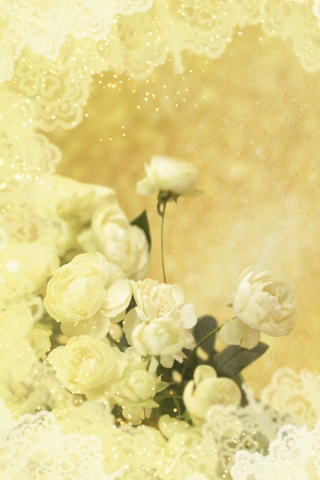 Бежевые кружева и розы обои