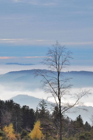 Холмы в тумане обои