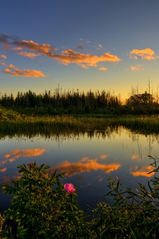 Вечерний закат обои