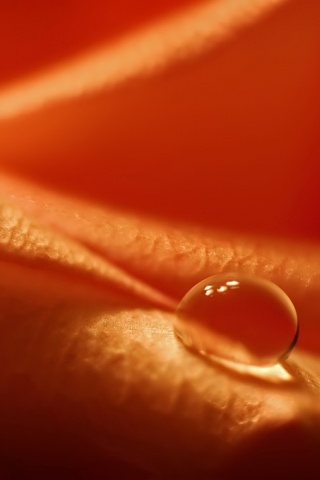 Капелька обои