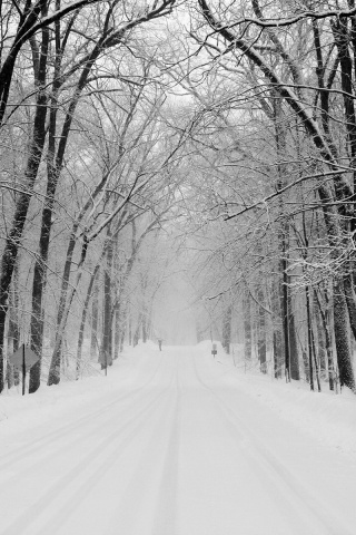 Дорога зимой в парке обои