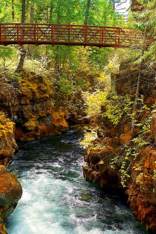 Мостик через реку в лесу обои