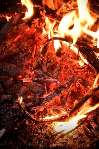 Костёр крупным планом обои