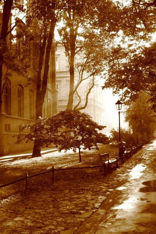 Аллея у здания обои