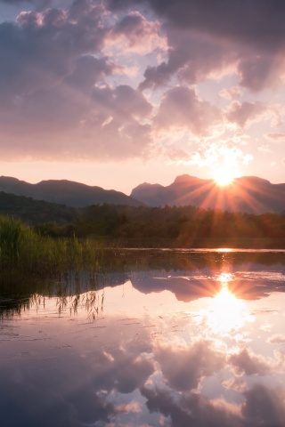 Закат за лесом обои