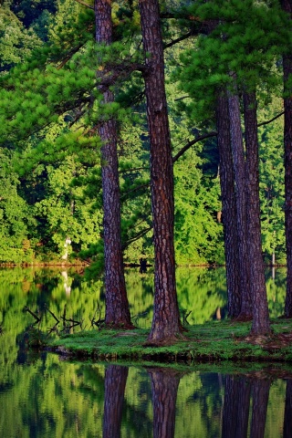 Островок посреди озера обои