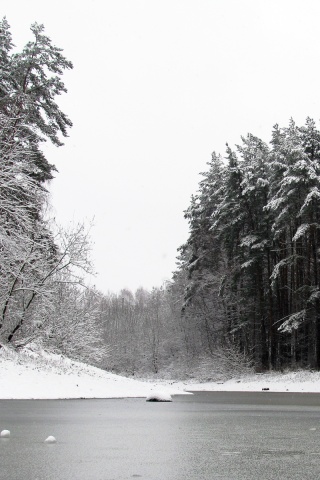 Зимняя дорога обои