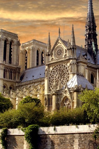 Собор парижской Богоматери обои