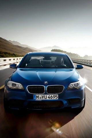Синий БМВ на дороге обои