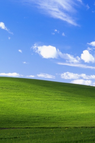 Стандартные обои Windows XP обои