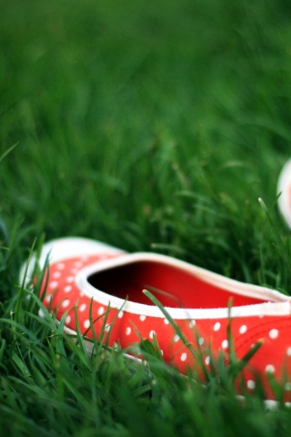 Красные тапки в горошек обои