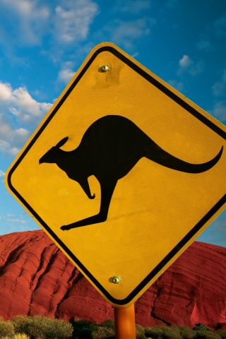 Осторожно, кенгуру! обои