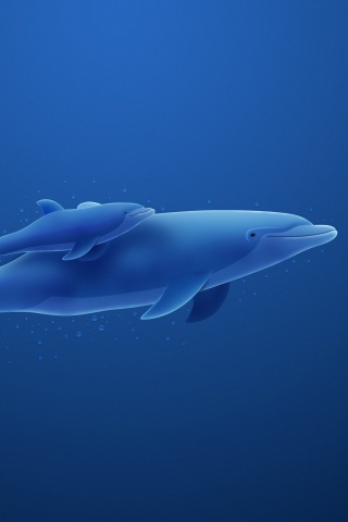 Дельфин и дельфиненок обои