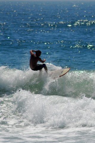 Сёрфенгист поймал волну обои