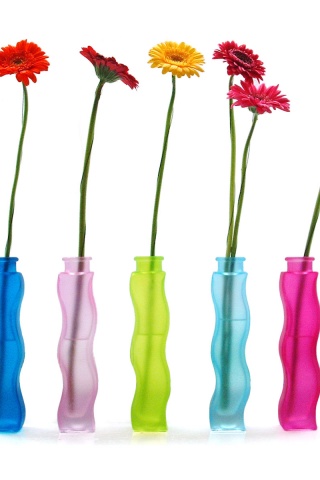 Герберы в изогнутых вазах обои