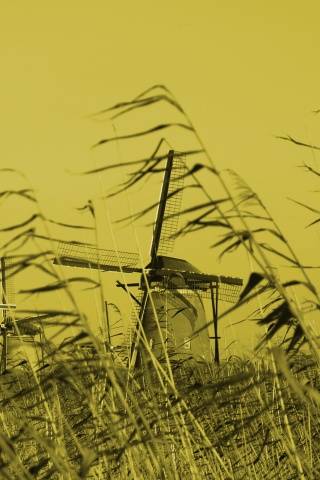 Мельницы обои